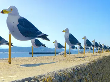 カモメの駐車場（女木島） 