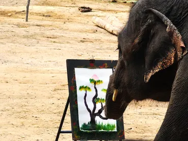 タイｰチェンマイ】3.象が絵を描く・・・エレファントキャンプ 