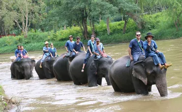 象使い体験1日ツアー 日本語ガイド付き 