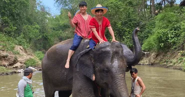 チェンマイ象乗り体験】メーサー・エレファント・キャンプの完全ガイド！【2024年最新版】