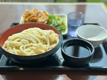 丸亀製麺』の「ざるうどん」の本数を数えてわかった！ シェアするなら大盛りと得盛りどっちがおトク？ – 食楽web