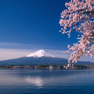 トピック】訪日タイ人の最新旅行スタイルを解説!4月のソンクラーン休暇で人気の行き先5選