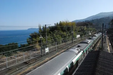 根府川のおかめ桜」と「青い相模湾を走る鉄道」を訪ねて(神奈川)』小田原(神奈川県)の旅行記・ブログ by かっちんさん【フォートラベル】