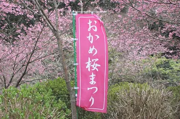 根府川おかめ桜♪: ゆ~ちゃん♪