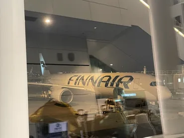 【決定版】アイスランド・オーロラ旅行！場所、シーズン、ツアーは？絶景オーロラを観測できる？アイスランド・オーロラ観測ガイド：場所、シーズン、ツアー情報まとめ