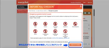 格安航空会社easyJetの搭乗レビュー 〜チェックインの方法、荷物 ...