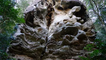 宮崎】双石山(前編) 宮崎市の名物は金柑たまたまと天狗岩 ...