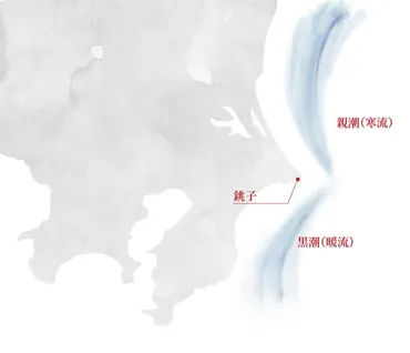 銚子の恵み 【ヤマサ醤油株式会社】