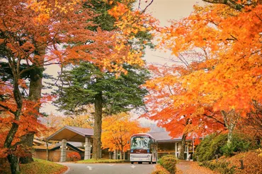 軽井沢プリンスホテルの紅葉(長野県) 