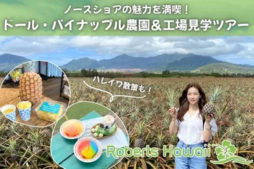 ハワイ・オアフ島】ノースショアの魅力が堪能できる！ロバーツハワイのパイナップル農園・工場ツアー 