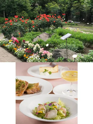 楽天トラベル】高速バス予約 