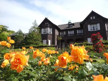 華やかに咲き誇るバラと重厚な洋館を鑑賞 旧古河庭園で「2026春のバラフェスティバル」 