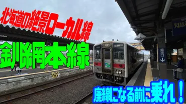 釧路湿原を縦断！道東をのんびり縦断する釧網本線・絶景の旅 