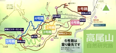 高尾山自然研究路1号路（表参道コース） 