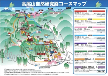 初心者に嬉しい！都心から1時間で行ける高尾山登山コース徹底ガイド 