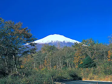 ふじあざみライン 