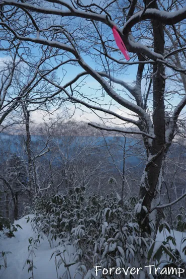 登山道で見かけるピンクテープは、実は危険信号？登山道への目印とは限らない!!