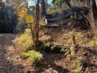 山岳遭難の原因トップ「道迷い」を防ぐ知識と行動【山登り初心者の基礎知識】 