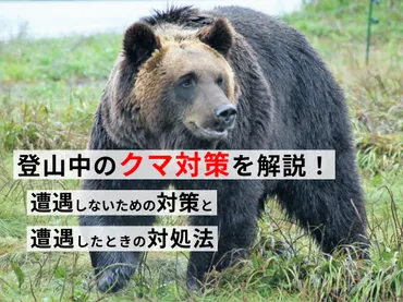 登山中のクマ対策を解説！】登山中に遭遇しないための対策と遭遇時の対処法 