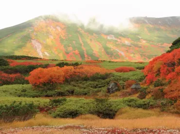 日本全国おすすめ紅葉登山29選！【紅葉時期・登山コース徹底解説】