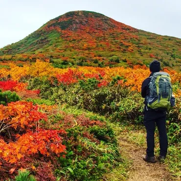 紅葉登山は防寒対策が必須！持っておきたいアイテムと選び方 