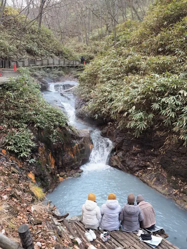 一生に一度は浸かりたい！「にごり湯を楽しめる温泉地」5選（東日本編）（高橋一喜） 