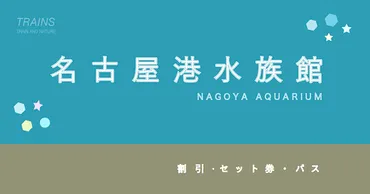 最大50％割引】名古屋港水族館の割引・特典・年間パスポート６選！【人気の駅チカ水族館】