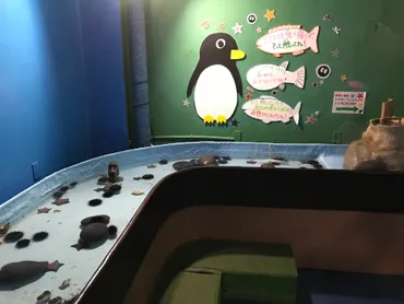 日本最北の水族館＠ノシャップ寒流水族館 