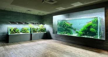 すみだ水族館「特別プログラム体験福袋」を数量限定販売 