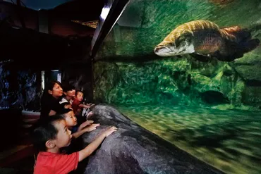 蓼科たてしなアミューズメント水族館はペットと楽しめる？愛犬と行く天空の水族館とは！？