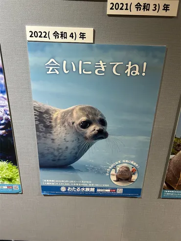 おたる水族館は冬も楽しめると聞いてきたけど、実際はどうなの？冬のイベント情報が熱い！！