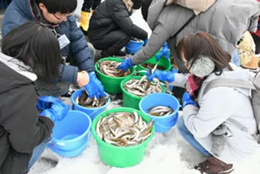 海獣公園ウインターガイド！おたる水族館