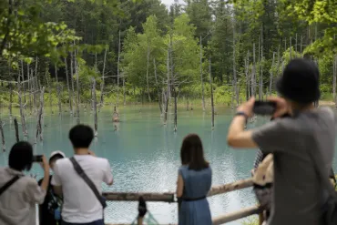 青い池に「入場税」 北海道・美瑛町が検討 オーバーツーリズム対策：北海道新聞デジタル