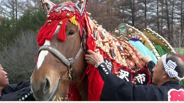 チャグチャグ馬コ保存会公式ホームページ