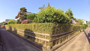 野良時計に土居廓中！安芸市に遺る土佐伝統の町並み散策 