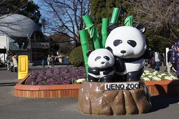 上野動物園デートプラン！混雑回避の秘策は？上野動物園の混雑事情とは！？