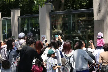 毎月行ってるからわかる！上野動物園の混雑を回避する５つのワザ : 動物園のど！