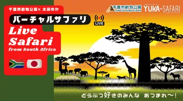 南アフリカからのLive中継によるバーチャルサファリを開催千葉市動物公園 × 太田ゆか ゛ Live Safari from South Africa  ゛ 