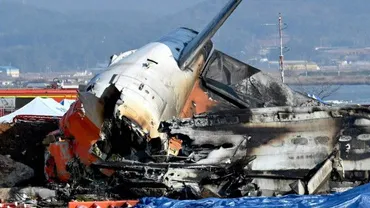 人乗せた韓国チェジュ航空機が着陸失敗・炎上乗員人の生存確認、バードストライクが原因?(東洋経済オンライン)