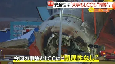 安全性は「大手もも遜色ない」韓国・チェジュ航空人死亡事故の゛原因゛バードストライク…日本での発生件数・対策は【ソレってどうなの?】
