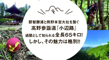 高野山と熊野本宮大社を繋ぐ高野参詣道『小辺路』過酷として知られる全長キロ!しかし、その魅力は格別!!