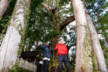 安全に熊野古道を歩くのにぴったりの服装・靴・持ち物は?季節ごとの装備品をご紹介!