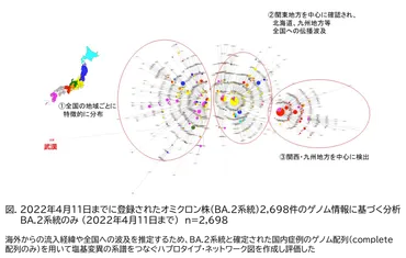 感染・伝播性の増加や抗原性の変化が懸念される 新型コロナウイルス（SARS