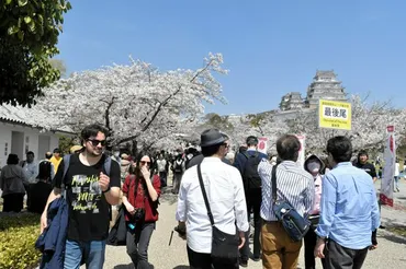 姫路城が検討する外国人への「二重価格」 民間にも導入の動き：朝日新聞デジタル