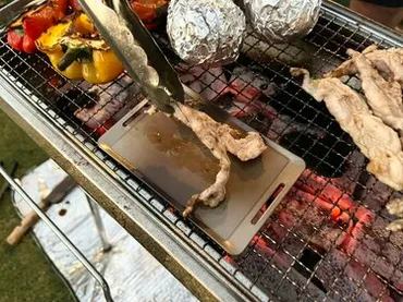 本当に円キャンドゥ〈バーベキュー用ミニ鉄板〉秋キャンプで使ってみた!ソロキャンプにもちょうどいい!