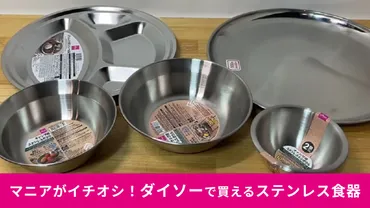 ダイソー】キャンプでも家でも使いたいマニアおすすめ「ステンレス食器」選!デザインやサイズも豊富