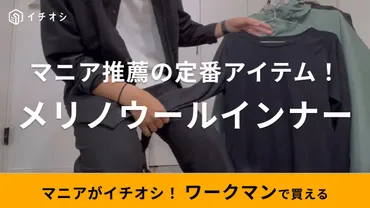 冬は【ワークマン】の防寒インナー一択でしょ!肌ざわりの良いメリノウール%なのに円ってコスパも最強!