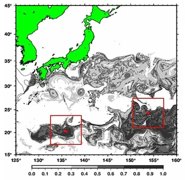 (令和)年度~沖ノ鳥島・南鳥島に関する研究調査事業