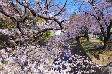 日本一の高級住宅街六麓荘の驚きのルール