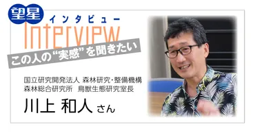 無人島・南硫黄島で何が起こっている？南硫黄島の生態系とは！？